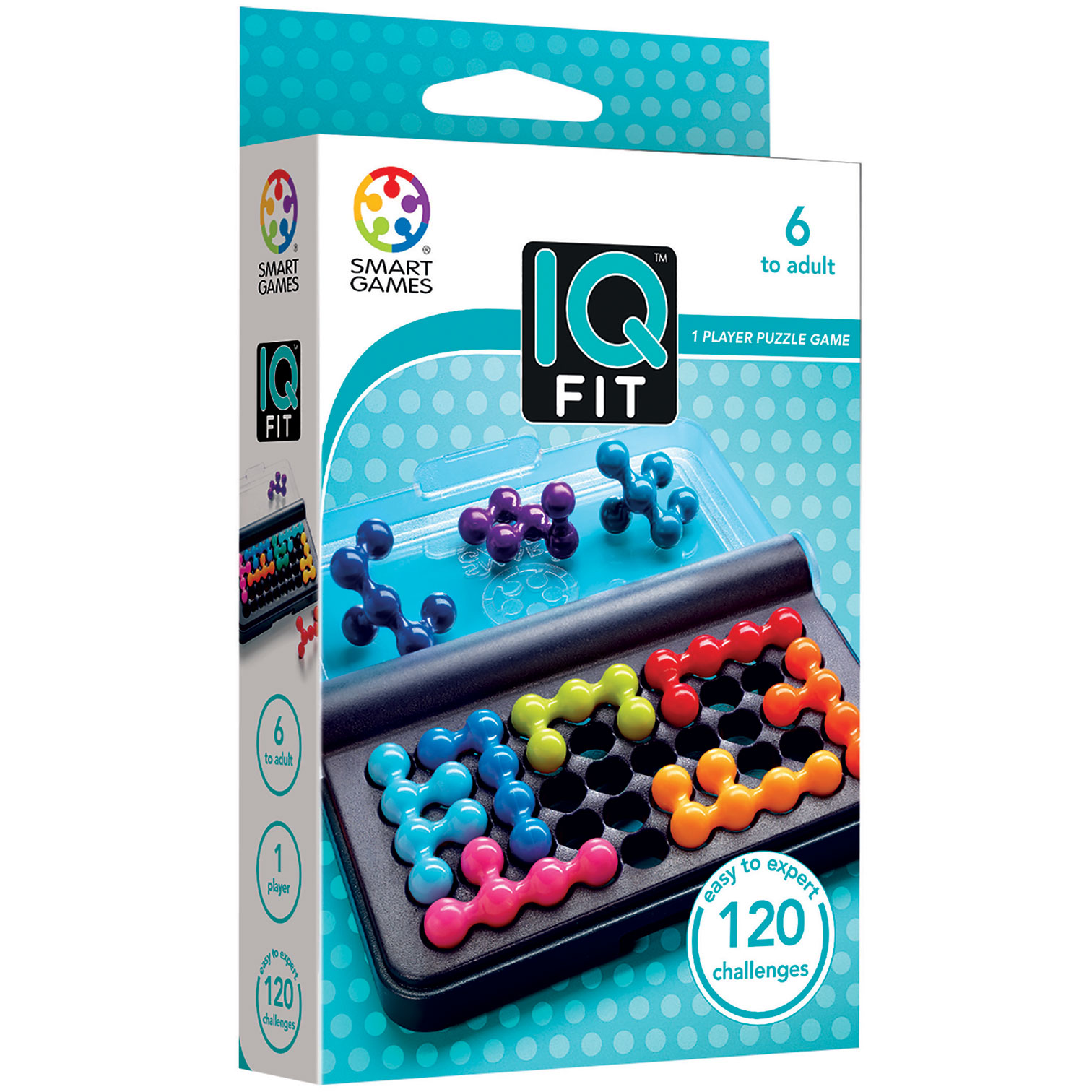 iq-fit-2